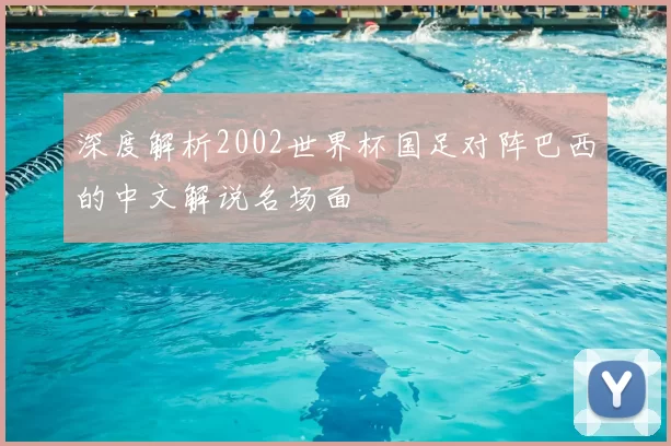 深度解析2002世界杯国足对阵巴西的中文解说名场面