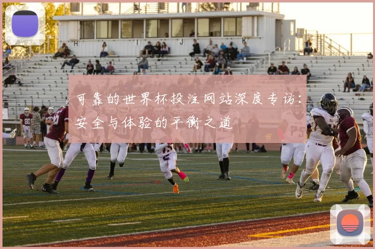 可靠的世界杯投注网站深度专访:安全与体验的平衡之道