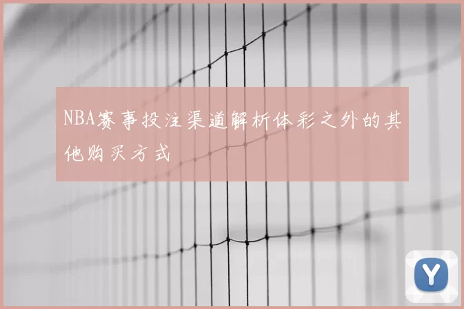 NBA赛事投注渠道解析体彩之外的其他购买方式