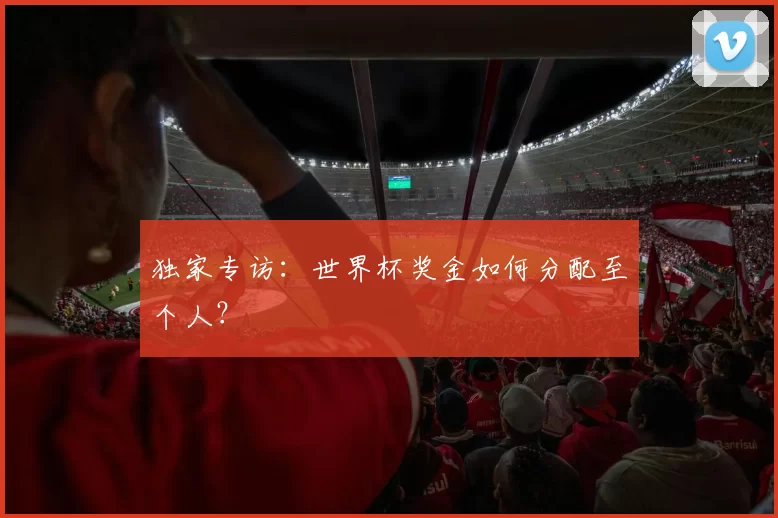 独家专访:世界杯奖金如何分配至个人?