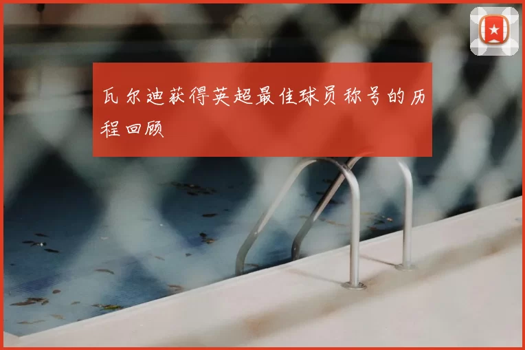 瓦尔迪获得英超最佳球员称号的历程回顾
