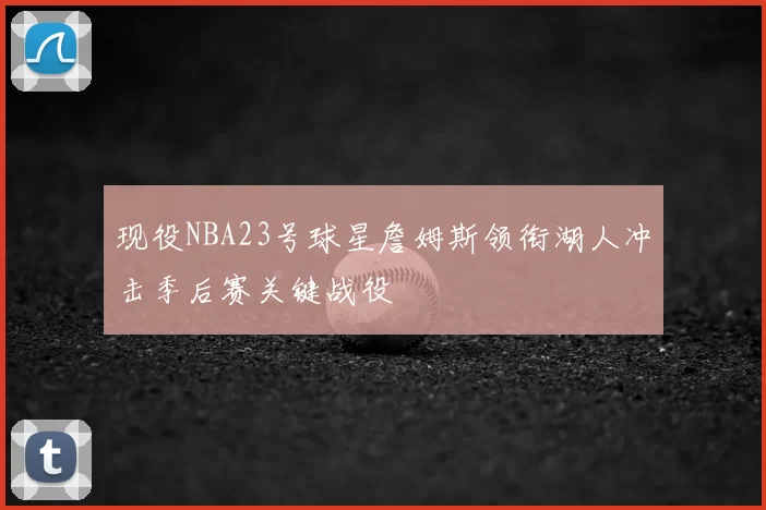 现役NBA23号球星詹姆斯领衔湖人冲击季后赛关键战役