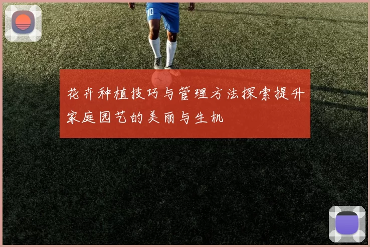 花卉种植技巧与管理方法探索提升家庭园艺的美丽与生机