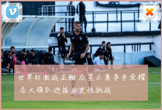 世界杯激战正酣 众星云集争夺荣耀 各大强队迎接历史性挑战