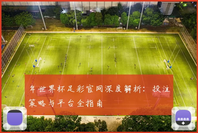 年世界杯足彩官网深度解析:投注策略与平台全指南