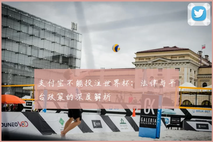 支付宝不能投注世界杯:法律与平台政策的深度解析