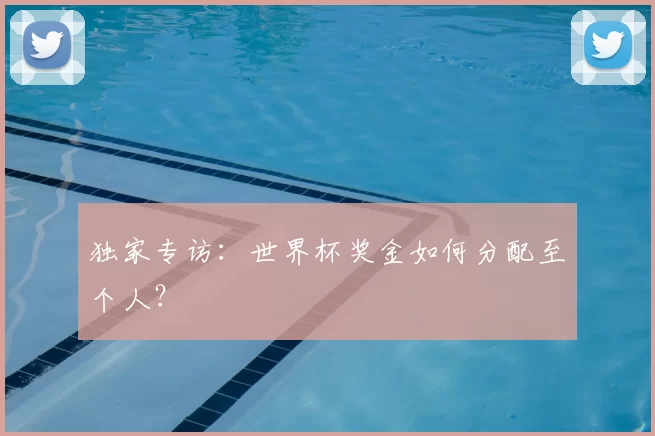 独家专访:世界杯奖金如何分配至个人?