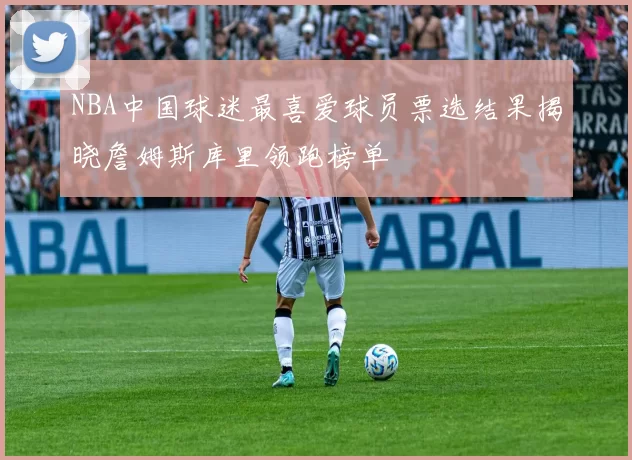 NBA中国球迷最喜爱球员票选结果揭晓詹姆斯库里领跑榜单