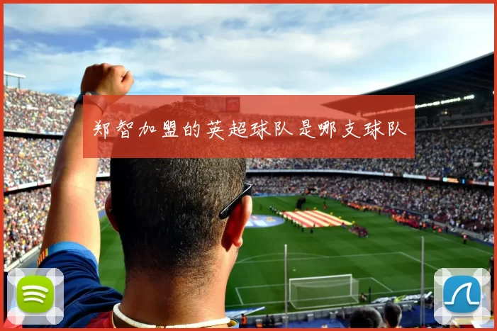 郑智加盟的英超球队是哪支球队