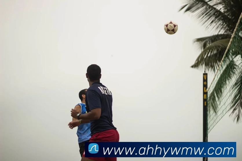 App Interface Preview